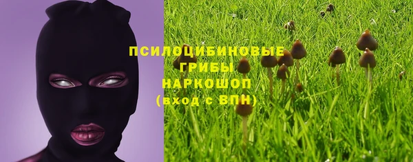 ALPHA-PVP Надым