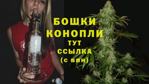 трава Михайловск