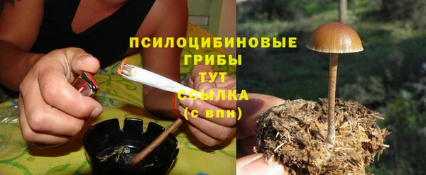 гидропоника Михайлов